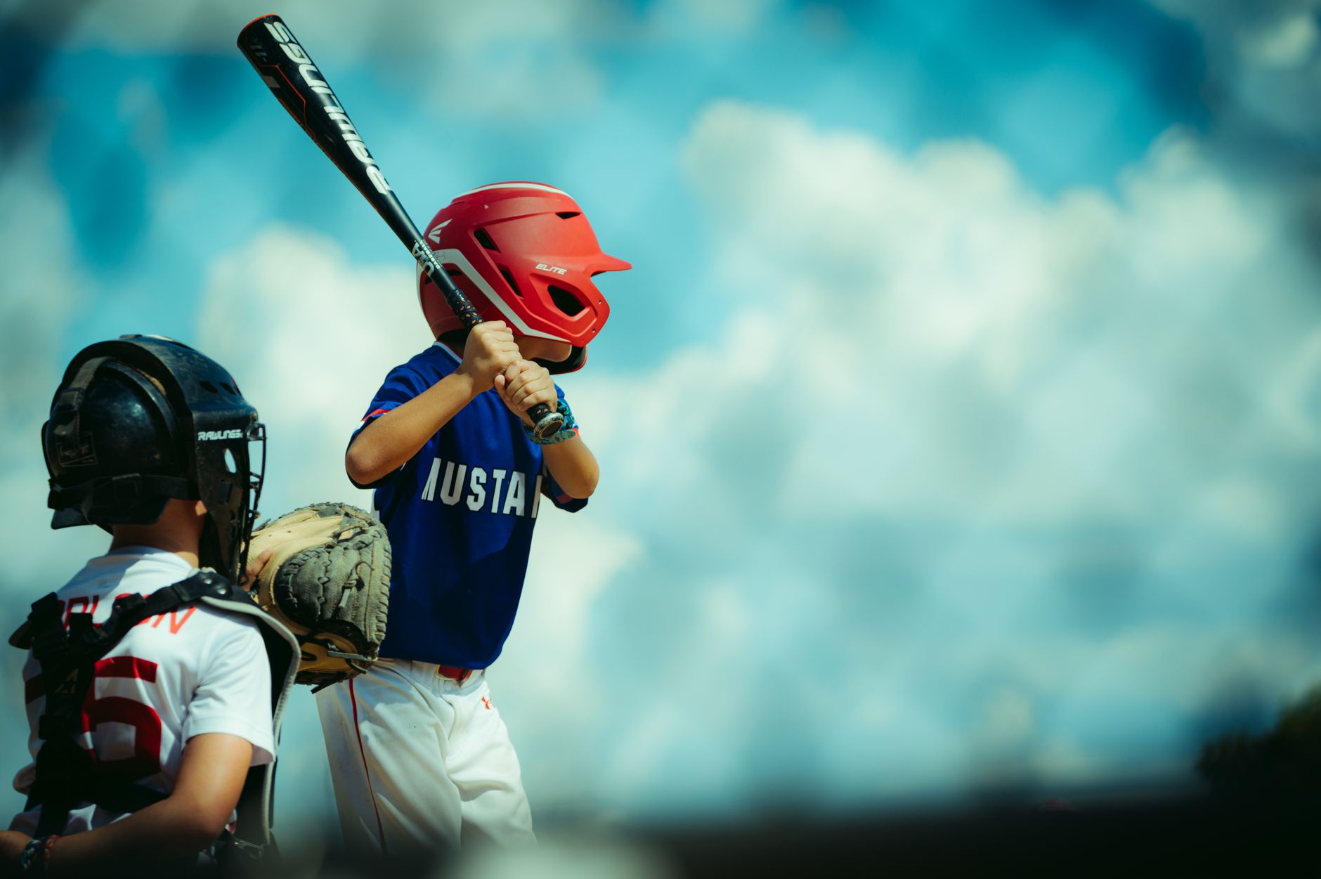 Baseball bat and ball resting on outfield grass