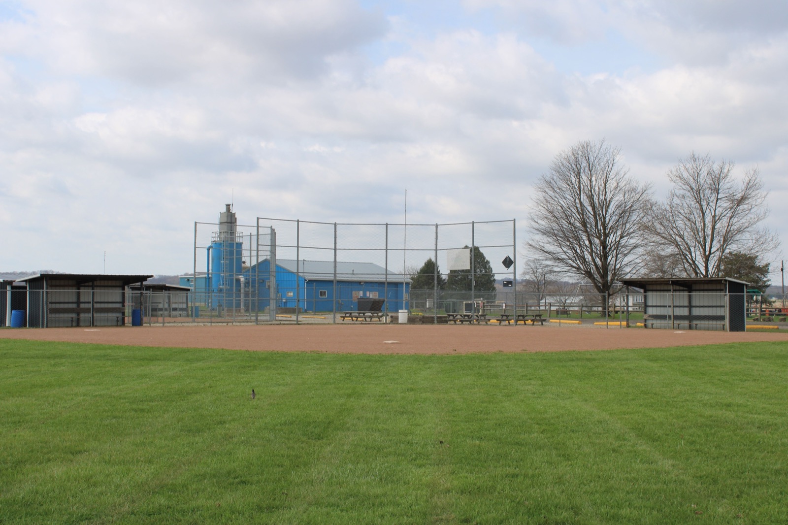 Parents watching a youth baseball game