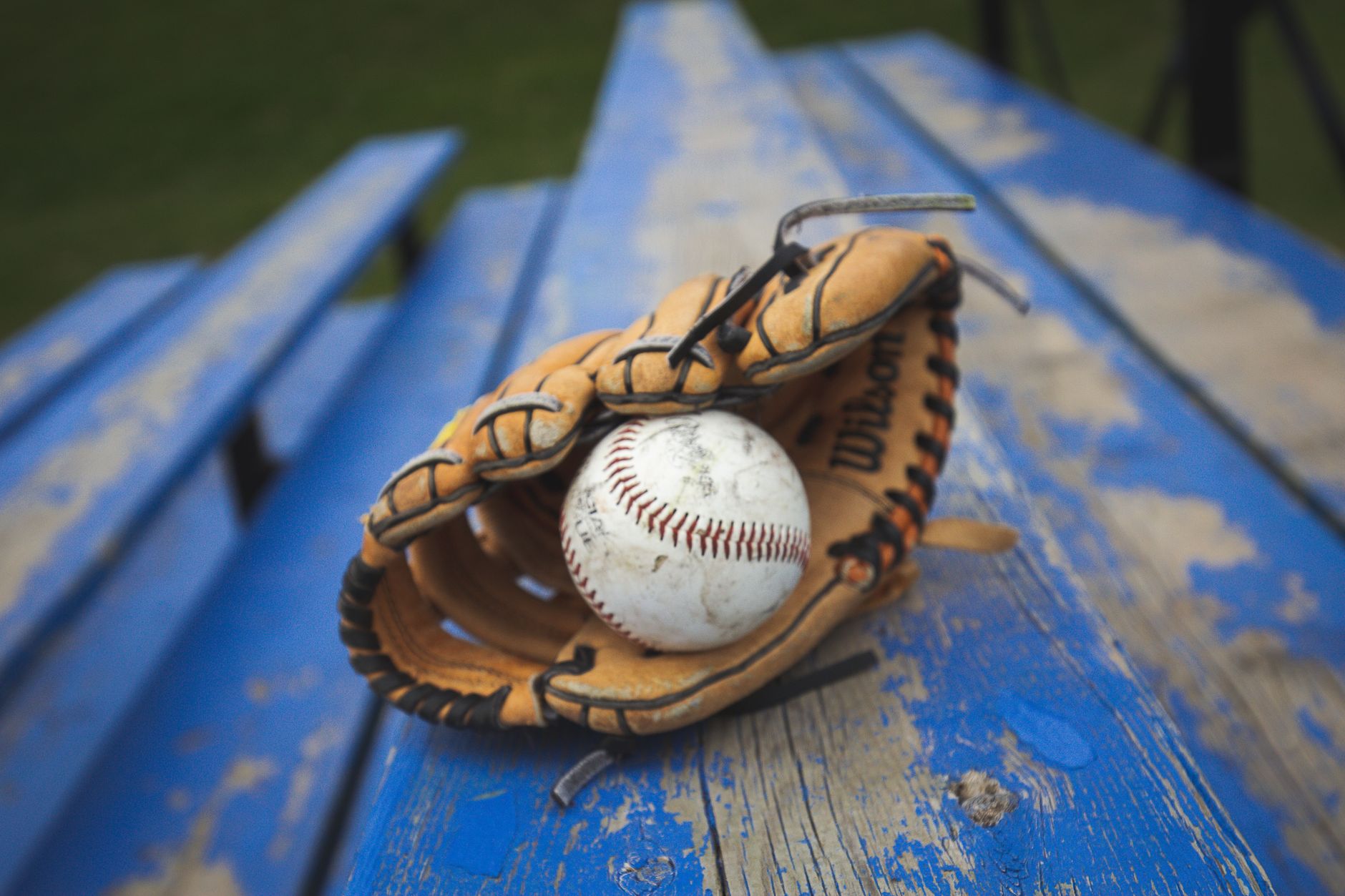 Close-up of baseball glove leather and webbing