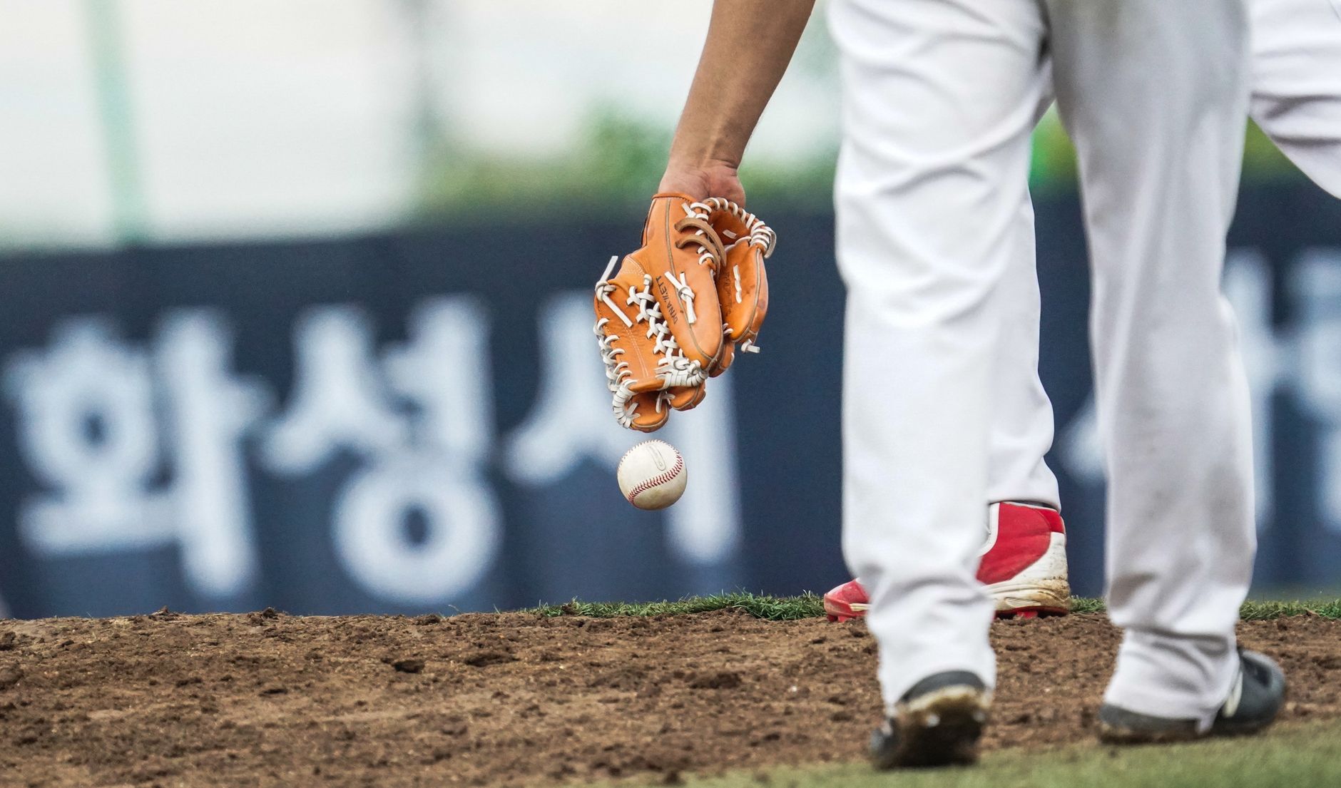 Row of baseball gloves and equipment
