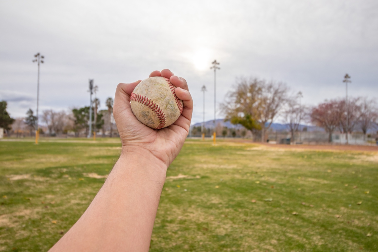 Pitcher's grip on the baseball