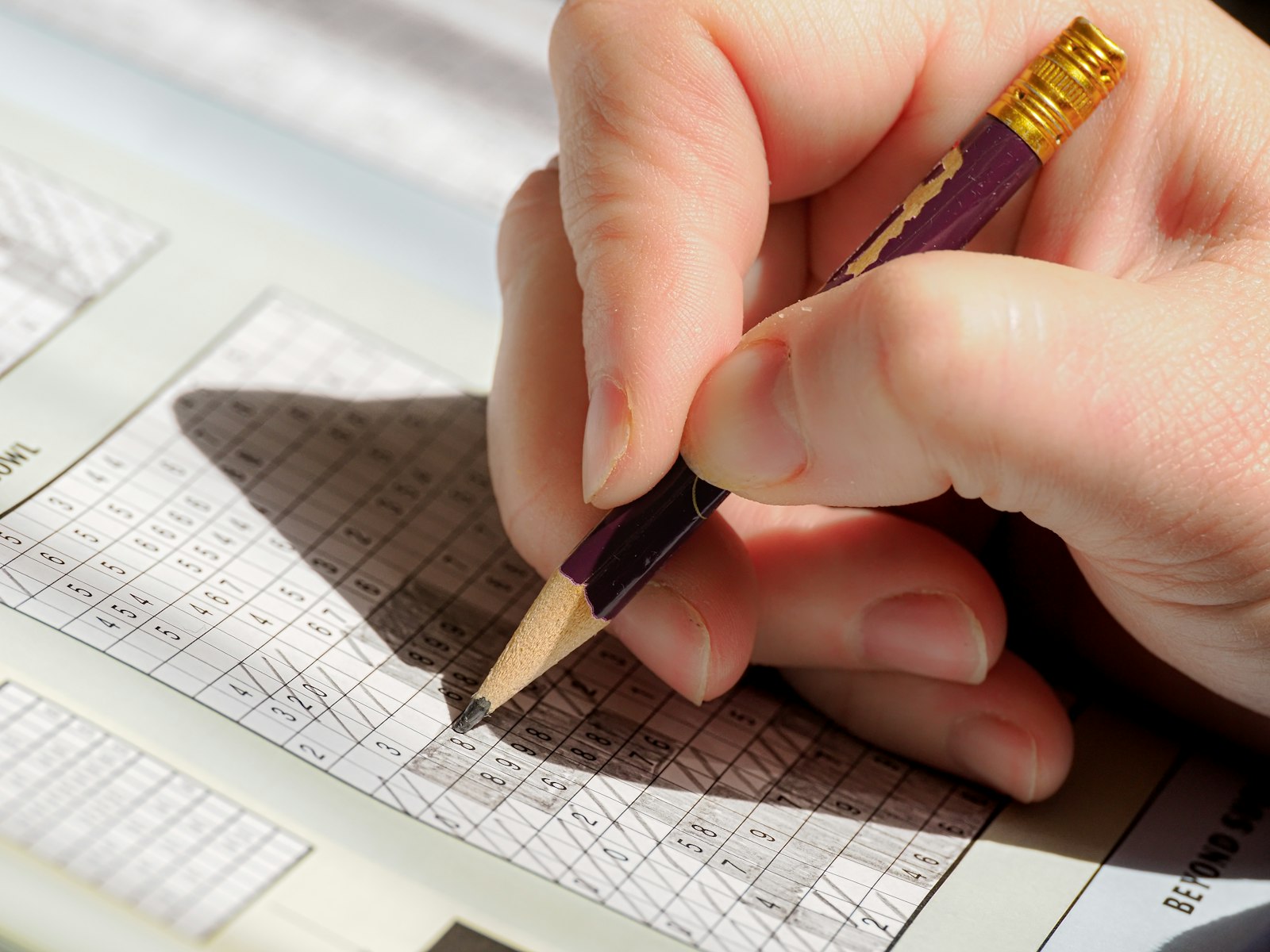 Baseball scorebook and pencil