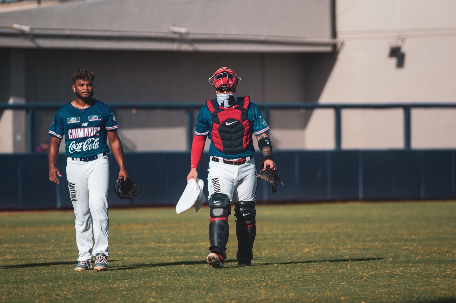 Catcher giving signs to the pitcher